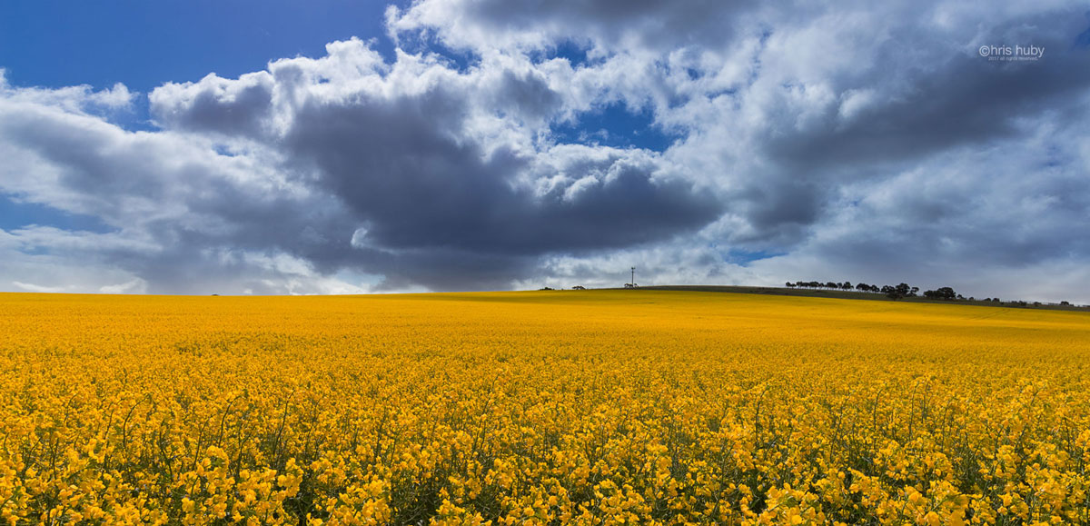 landscape photography, Geelong, Victoria, Australia